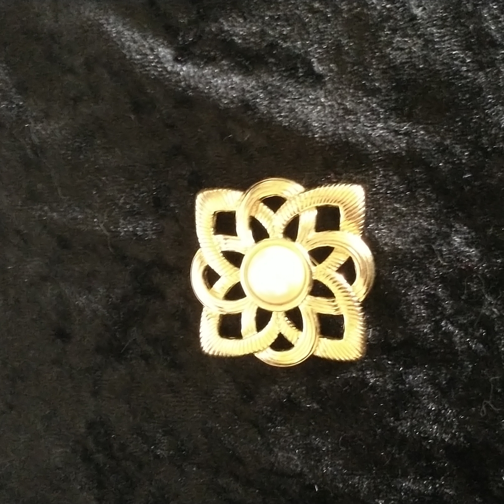 Costume brooch